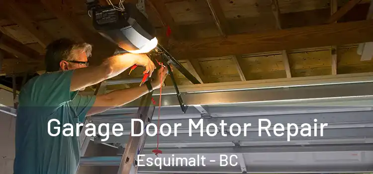  Garage Door Motor Repair Esquimalt - BC