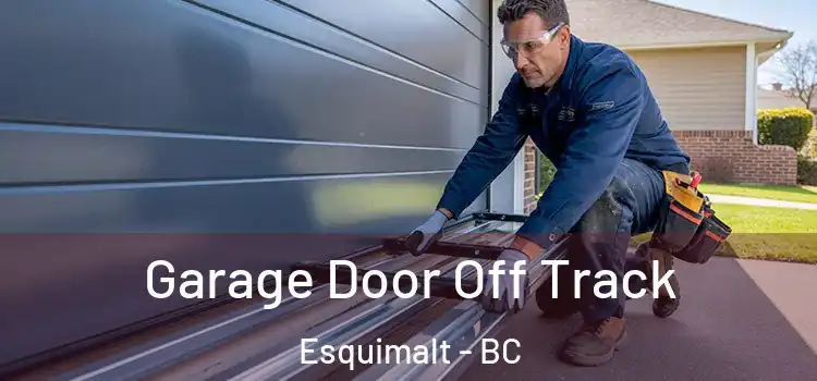  Garage Door Off Track Esquimalt - BC