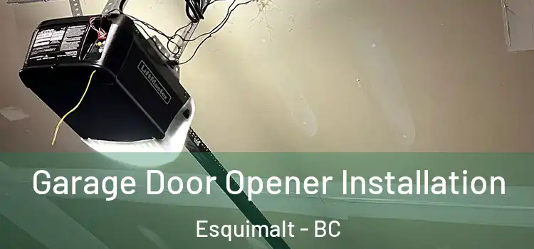  Garage Door Opener Installation Esquimalt - BC