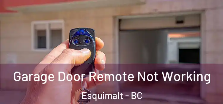  Garage Door Remote Not Working Esquimalt - BC