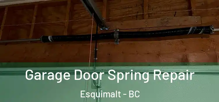  Garage Door Spring Repair Esquimalt - BC