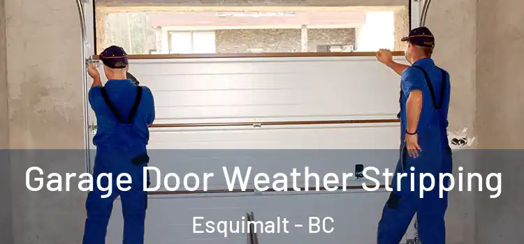  Garage Door Weather Stripping Esquimalt - BC