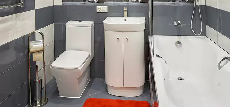 Hansgrohe Shaving Mirror Esquimalt