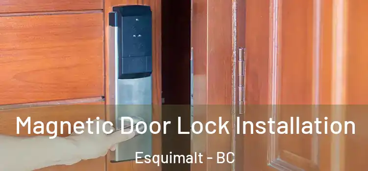  Magnetic Door Lock Installation Esquimalt - BC