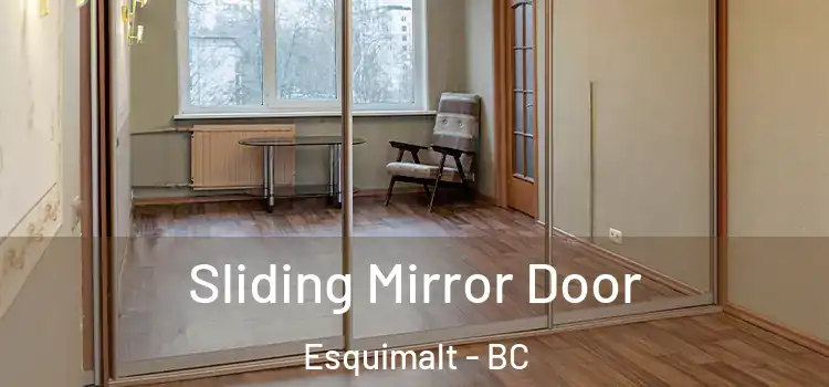  Sliding Mirror Door Esquimalt - BC